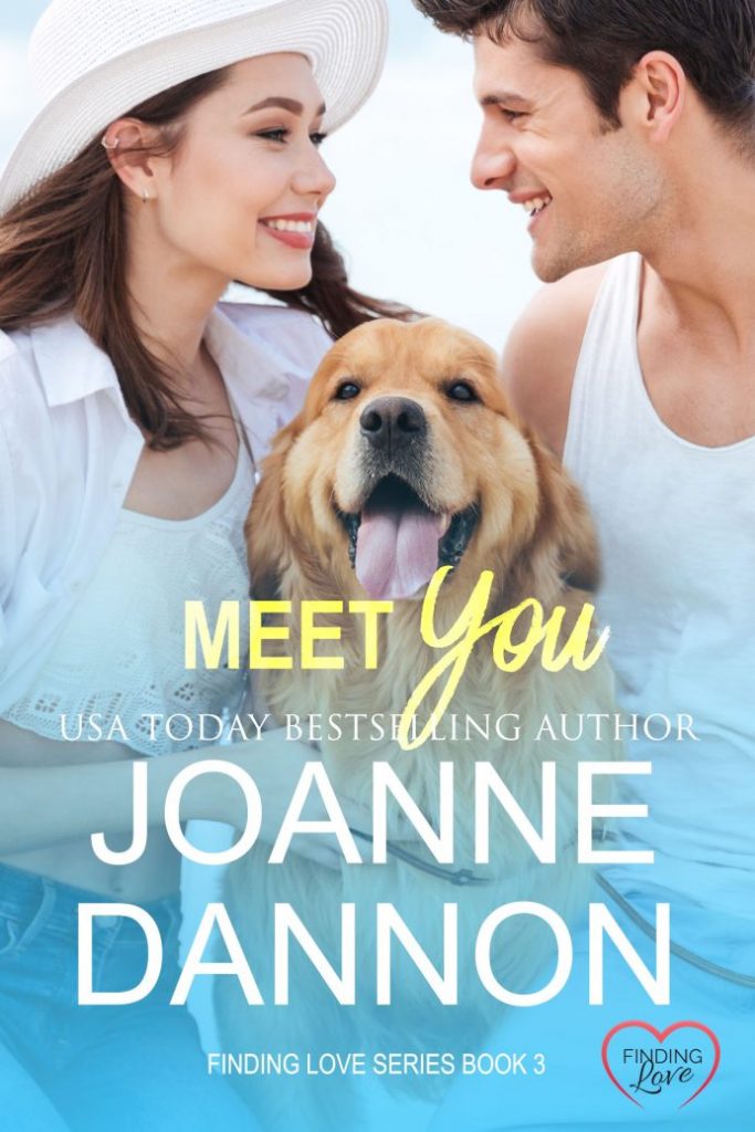 Finding LoveBook 3_Meet You